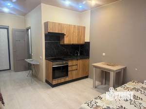 Студия квартира, на длительный срок, 24м2, 11/17 этаж