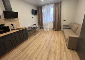 Студия квартира, на длительный срок, 24м2, 3/16 этаж