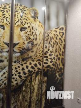 1-к квартира, на длительный срок, 50м2, 10/16 этаж