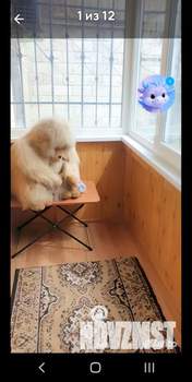 1-к квартира, на длительный срок, 24м2, 1/9 этаж