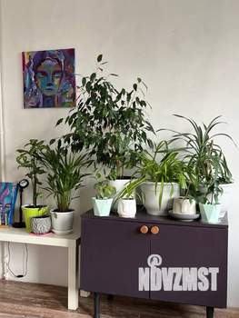 1-к квартира, на длительный срок, 33м2, 4/9 этаж