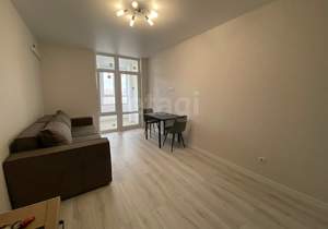 Студия квартира, на длительный срок, 28м2, 14/20 этаж