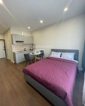 Студия квартира, на длительный срок, 22м2, 11/16 этаж