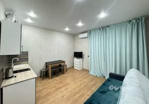 Студия квартира, на длительный срок, 23м2, 13/24 этаж