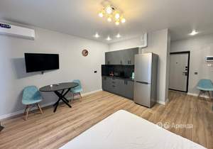 Студия квартира, на длительный срок, 30м2, 14/16 этаж