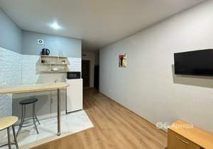 Студия квартира, на длительный срок, 24м2, 2/22 этаж