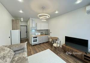 Студия квартира, на длительный срок, 23м2, 15/24 этаж