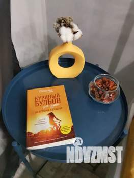 Студия квартира, посуточно, 20м2, 4/5 этаж