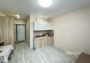 Студия квартира, на длительный срок, 22м2, 8/8 этаж