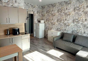 Студия квартира, на длительный срок, 24м2, 19/24 этаж