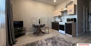 Студия квартира, на длительный срок, 23м2, 14/16 этаж