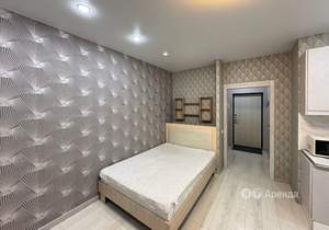 Студия квартира, на длительный срок, 27м2, 14/17 этаж