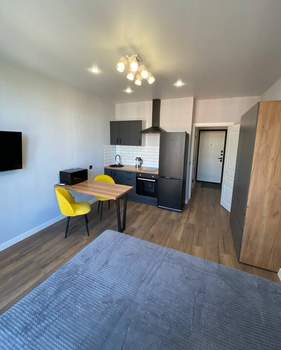 Студия квартира, на длительный срок, 25м2, 14/16 этаж