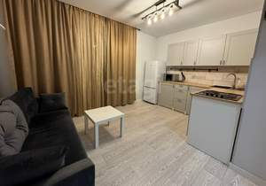 Студия квартира, на длительный срок, 24м2, 5/8 этаж