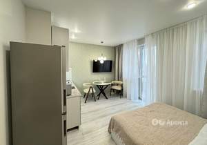 Студия квартира, на длительный срок, 24м2, 11/24 этаж