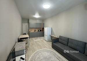 Студия квартира, на длительный срок, 26м2, 10/24 этаж