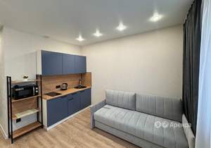 Студия квартира, на длительный срок, 22м2, 17/24 этаж