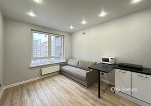 Студия квартира, на длительный срок, 21м2, 11/16 этаж