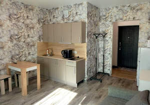 Студия квартира, на длительный срок, 24м2, 19/24 этаж