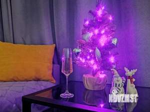 Студия квартира, посуточно, 30м2, 20/22 этаж