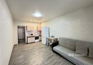 Студия квартира, на длительный срок, 26м2, 7/24 этаж