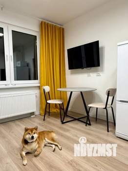 Студия квартира, на длительный срок, 31м2, 4/18 этаж