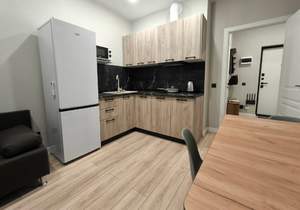 1-к квартира, на длительный срок, 40м2, 3/16 этаж