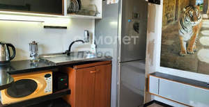 1-к квартира, на длительный срок, 41м2, 10/10 этаж