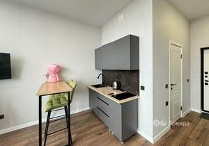 Студия квартира, на длительный срок, 27м2, 15/16 этаж