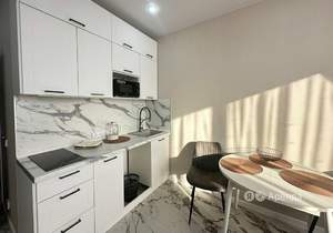 Студия квартира, на длительный срок, 19м2, 13/16 этаж