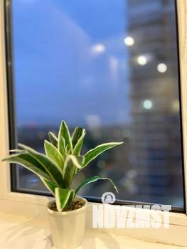 1-к квартира, посуточно, 40м2, 8/16 этаж