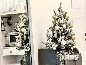 1-к квартира, посуточно, 21м2, 1/1 этаж