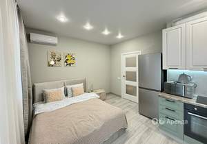 Студия квартира, на длительный срок, 24м2, 11/24 этаж