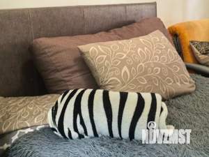 1-к квартира, посуточно, 45м2, 10/17 этаж