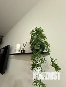 1-к квартира, посуточно, 49м2, 1/1 этаж