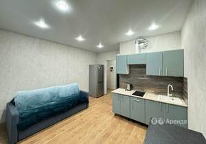 Студия квартира, на длительный срок, 23м2, 13/24 этаж