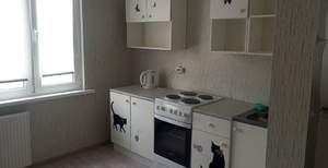 1-к квартира, на длительный срок, 43м2, 5/17 этаж