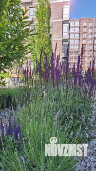 1-к квартира, на длительный срок, 30м2, 7/9 этаж