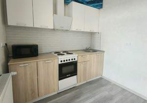 1-к квартира, на длительный срок, 30м2, 17/24 этаж