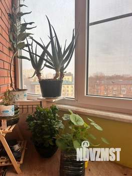 1-к квартира, вторичка, 34м2, 7/24 этаж