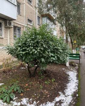 2-к квартира, вторичка, 44м2, 4/5 этаж