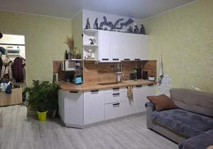 1-к квартира, вторичка, 44м2, 17/17 этаж