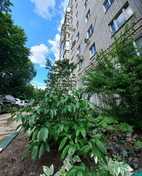 3-к квартира, вторичка, 71м2, 2/10 этаж