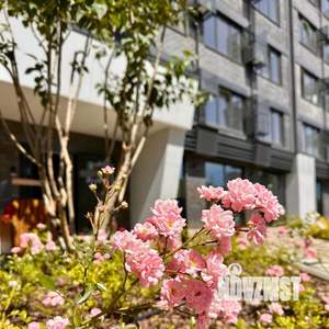 Студия квартира, вторичка, 23м2, 14/16 этаж