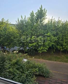 1-к квартира, вторичка, 37м2, 2/3 этаж