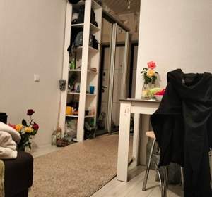 1-к квартира, вторичка, 18м2, 7/10 этаж