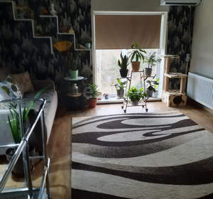 1-к квартира, вторичка, 33м2, 5/6 этаж