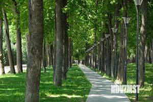 3-к квартира, строящийся дом, 86м2, 7/22 этаж