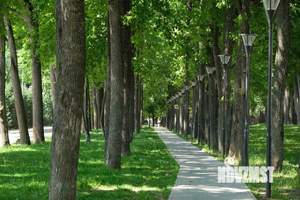 3-к квартира, строящийся дом, 84м2, 3/22 этаж
