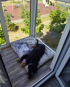 1-к квартира, вторичка, 38м2, 2/3 этаж